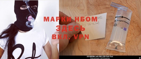 шишки Алзамай