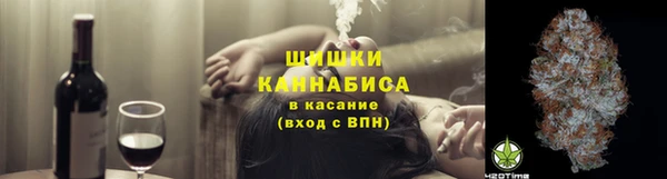 ПСИЛОЦИБИНОВЫЕ ГРИБЫ Алексеевка