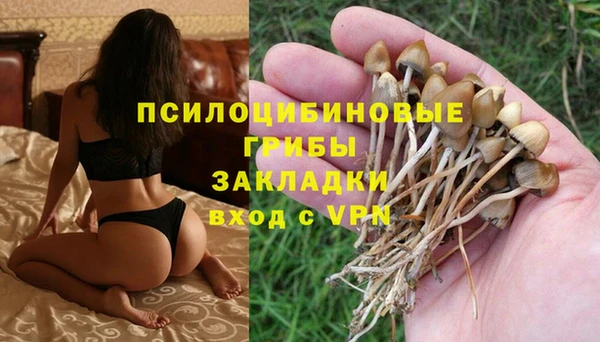 ПСИЛОЦИБИНОВЫЕ ГРИБЫ Алексеевка