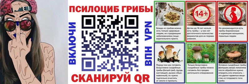 Псилоцибиновые грибы Psilocybe  hydra сайт  Медынь 